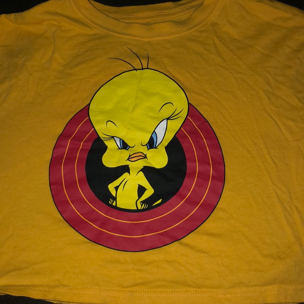 Looney Tunes Long Sleeve Crop Top!